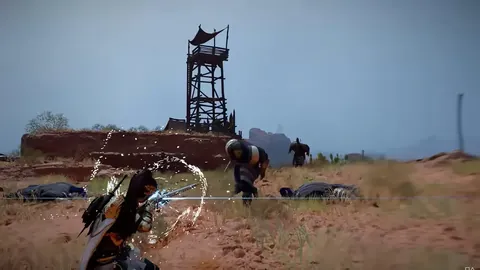 范尼下课风险高，职业发展存疑；阿莫林仍有证明自身价值机会。