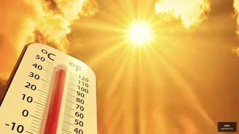 2026最新：墨西联对决解析蒙特雷圣路易斯竞技前瞻